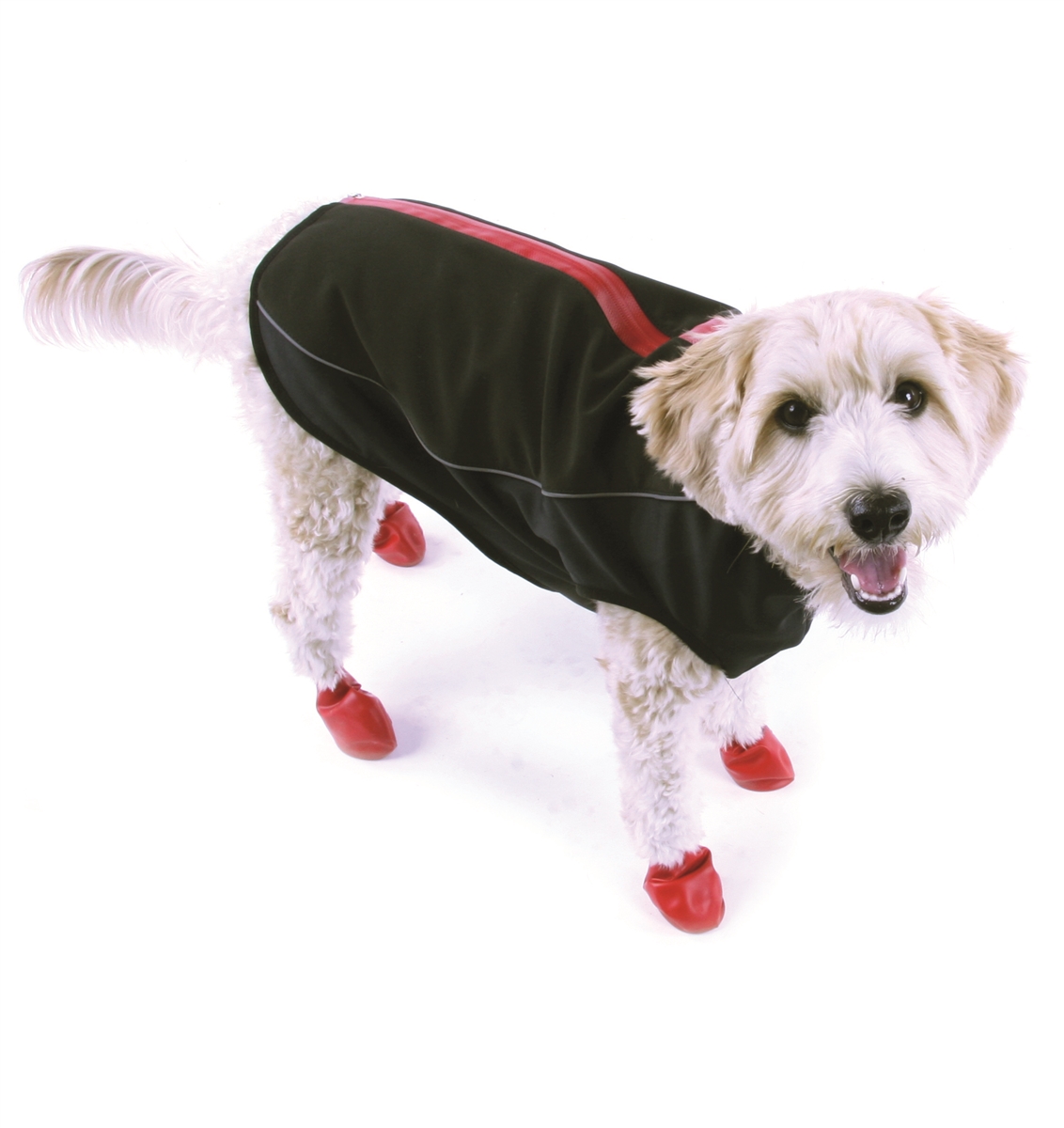 Pawz 2024 1z coat